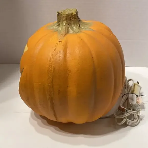 • - Picture 5 of 11